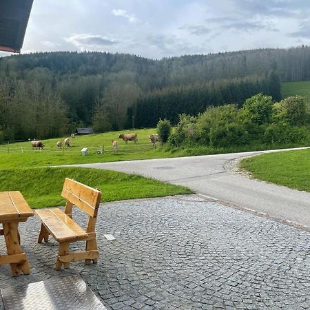 Ferienwohnung ,Hoizmann' Pinsdorf Dış mekan fotoğraf