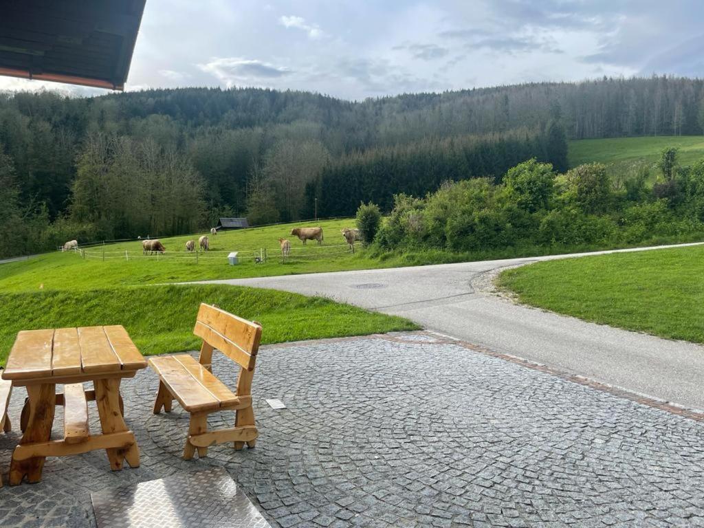 Ferienwohnung ,Hoizmann' Pinsdorf Dış mekan fotoğraf